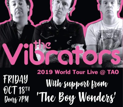   2019 Vibrators Gig